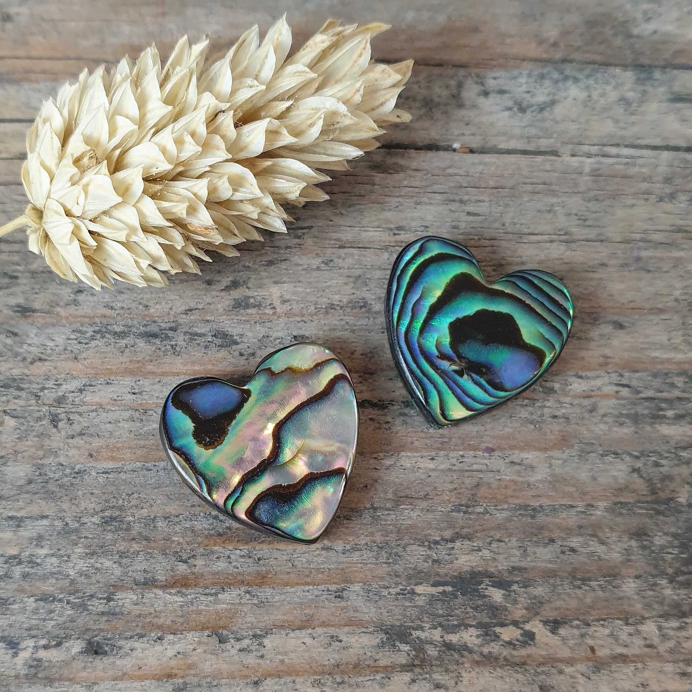 Miniatuur 1