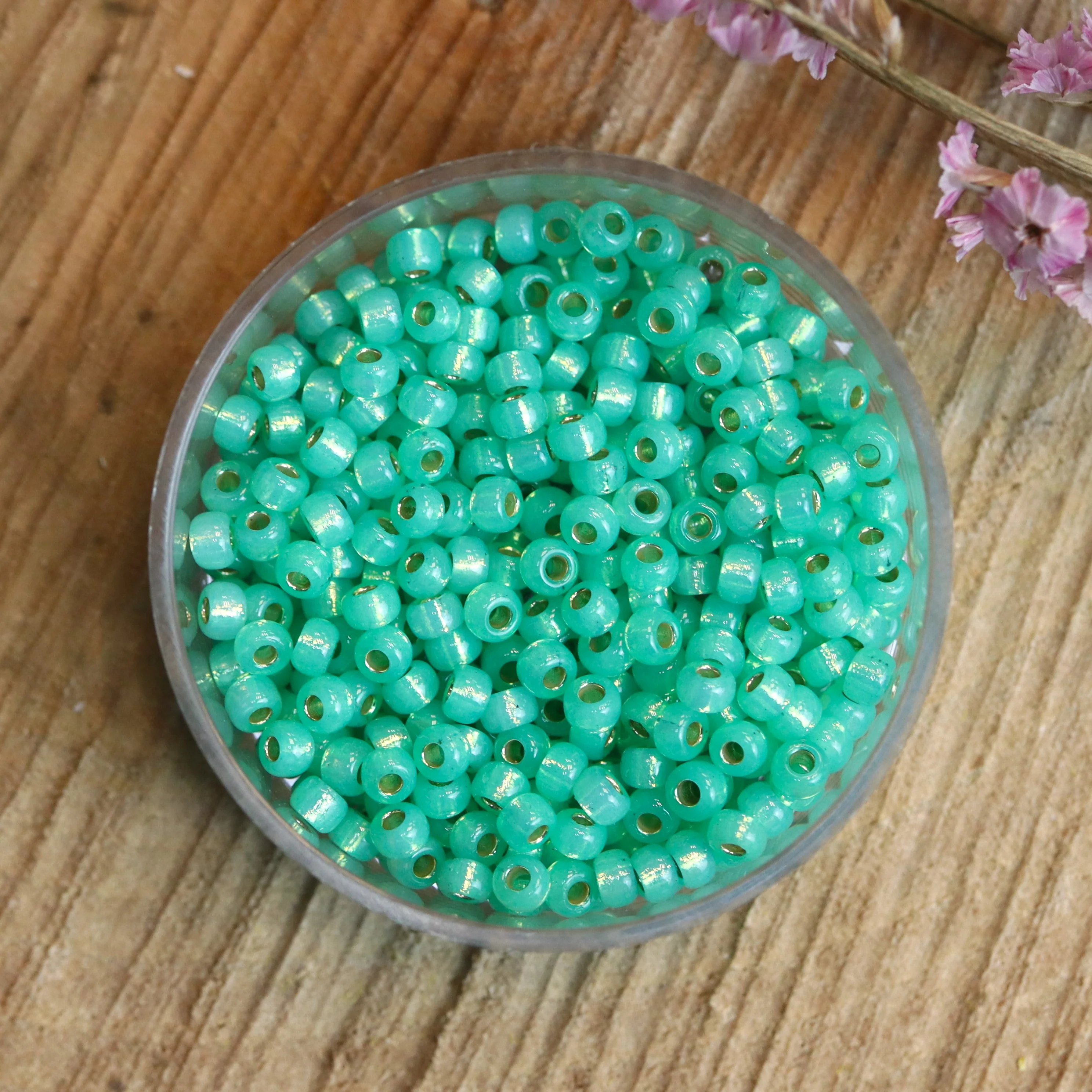 MR8-4240 Duracoat silverlined dyed mint