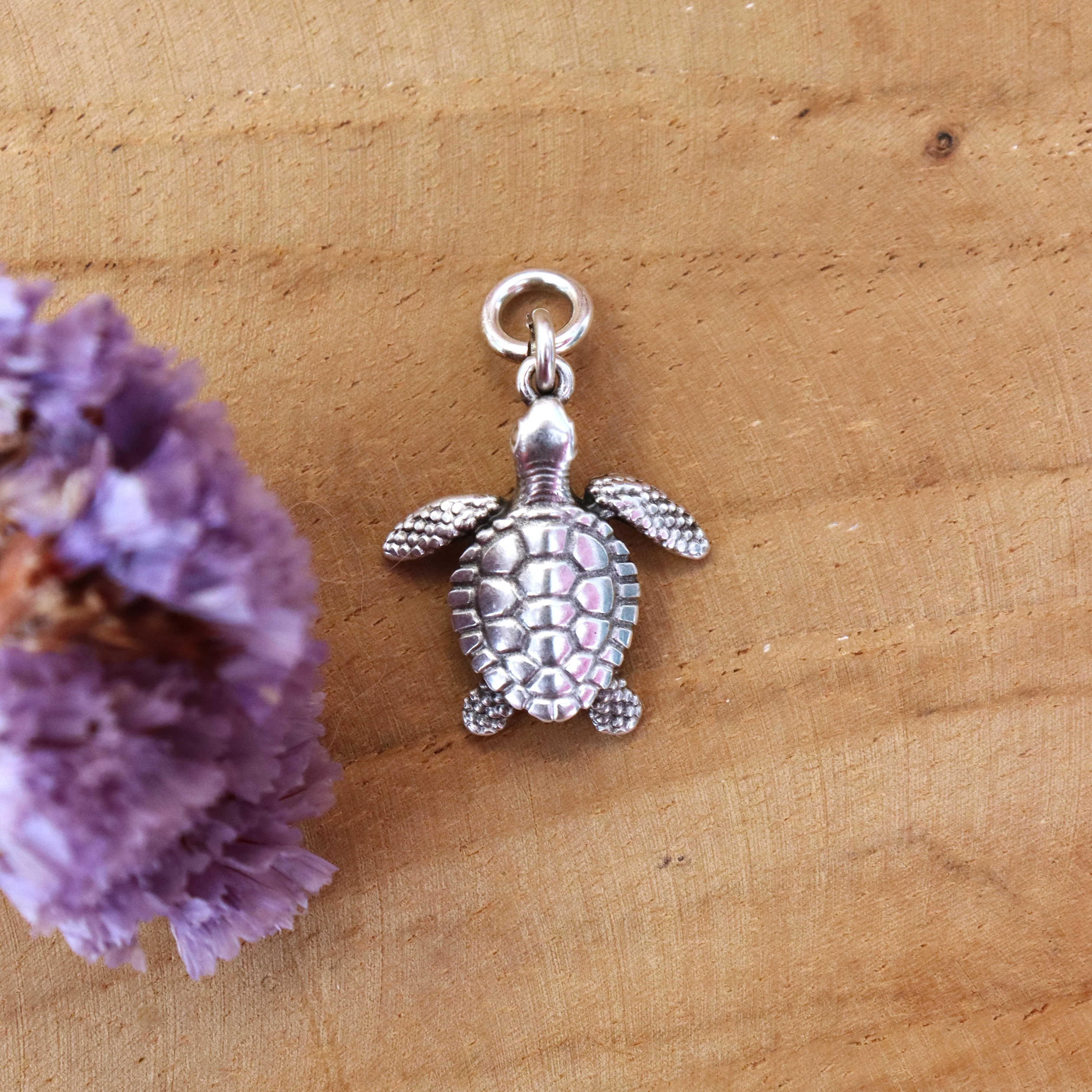 Oorringbedel schildpad - zilver
