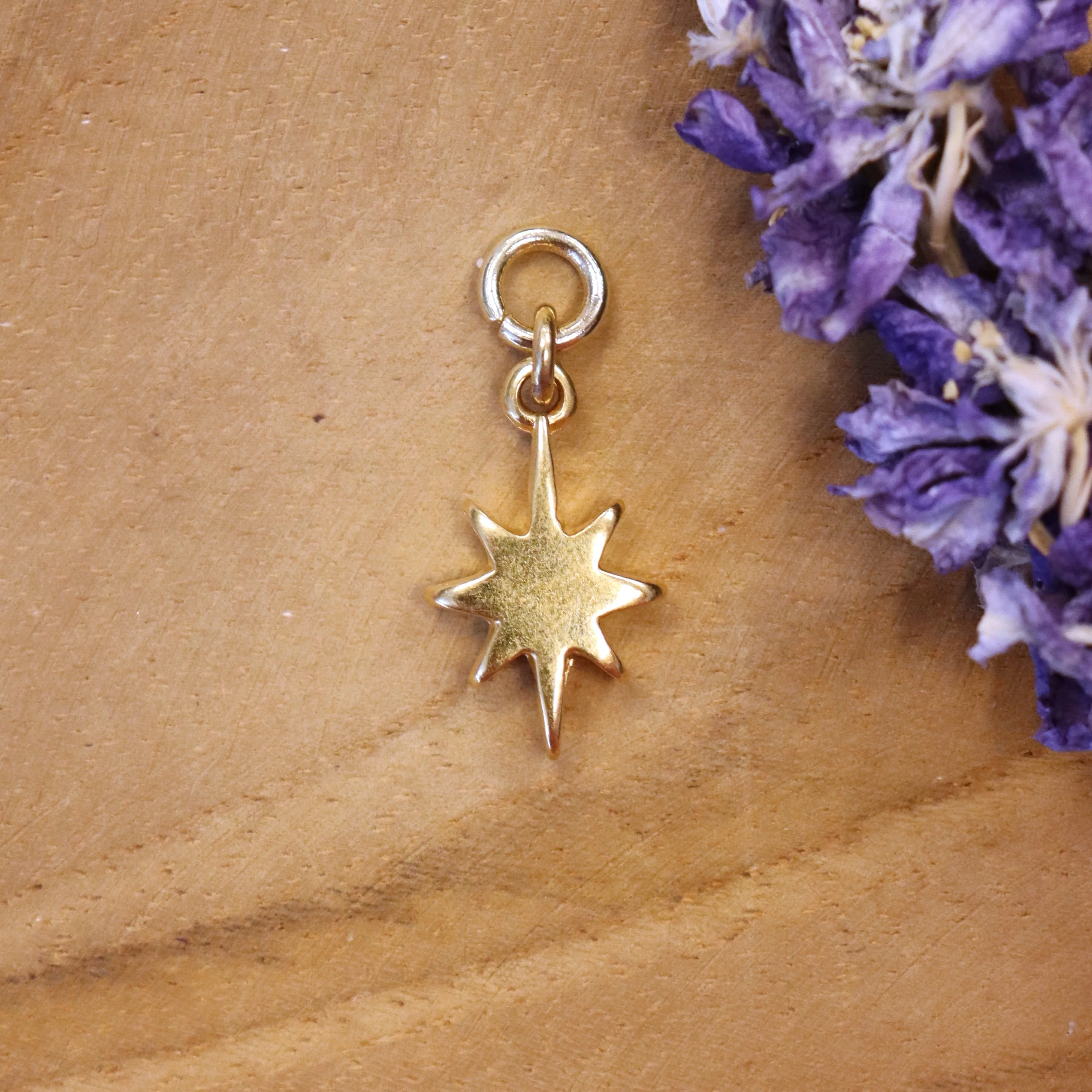 Oorringbedel sparkle - goud
