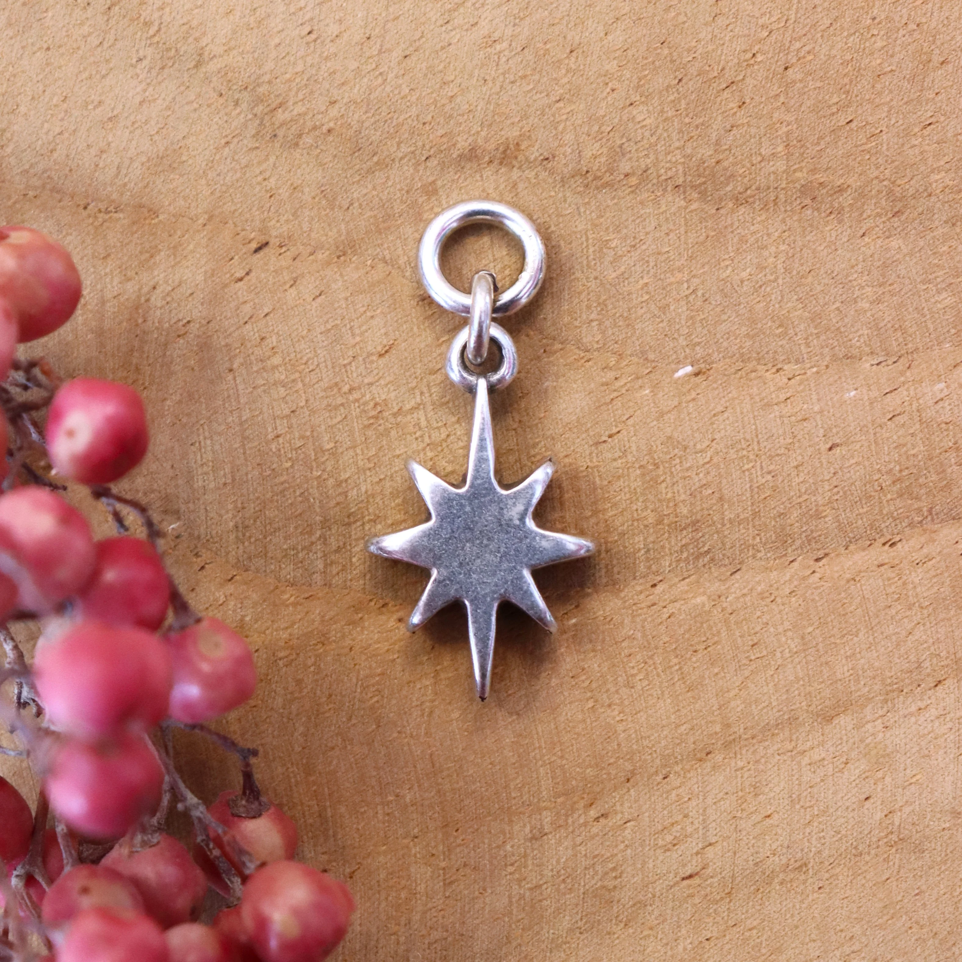 Oorringbedel sparkle - zilver