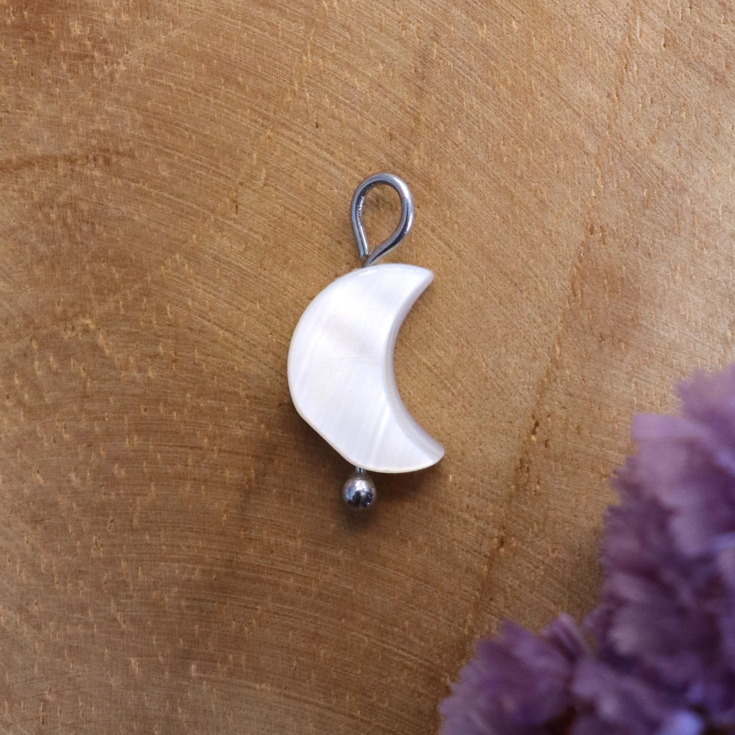 Oorringbedel trochus schelp maan - zilver