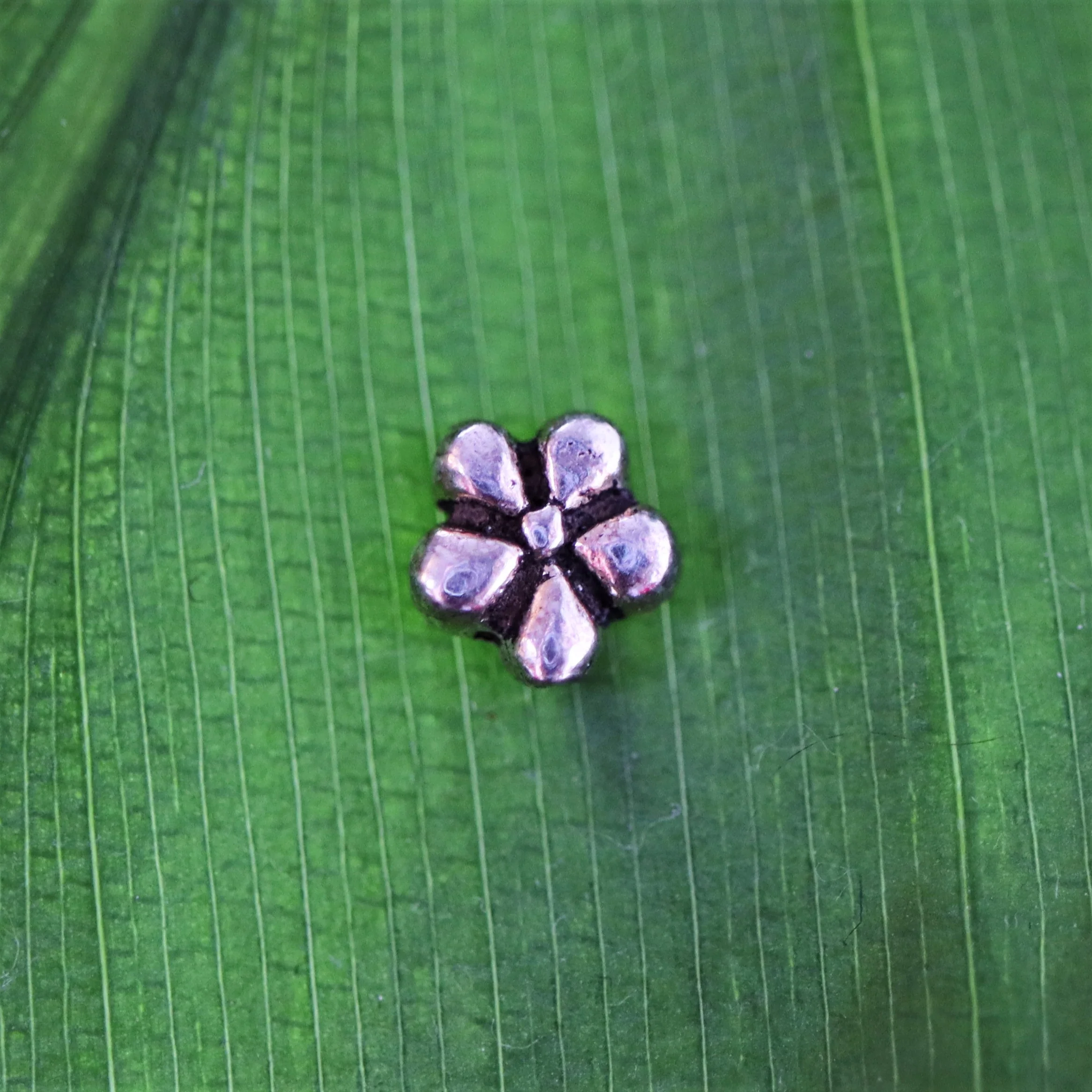 925 sterling zilveren oorsteker met bloem - Image 2