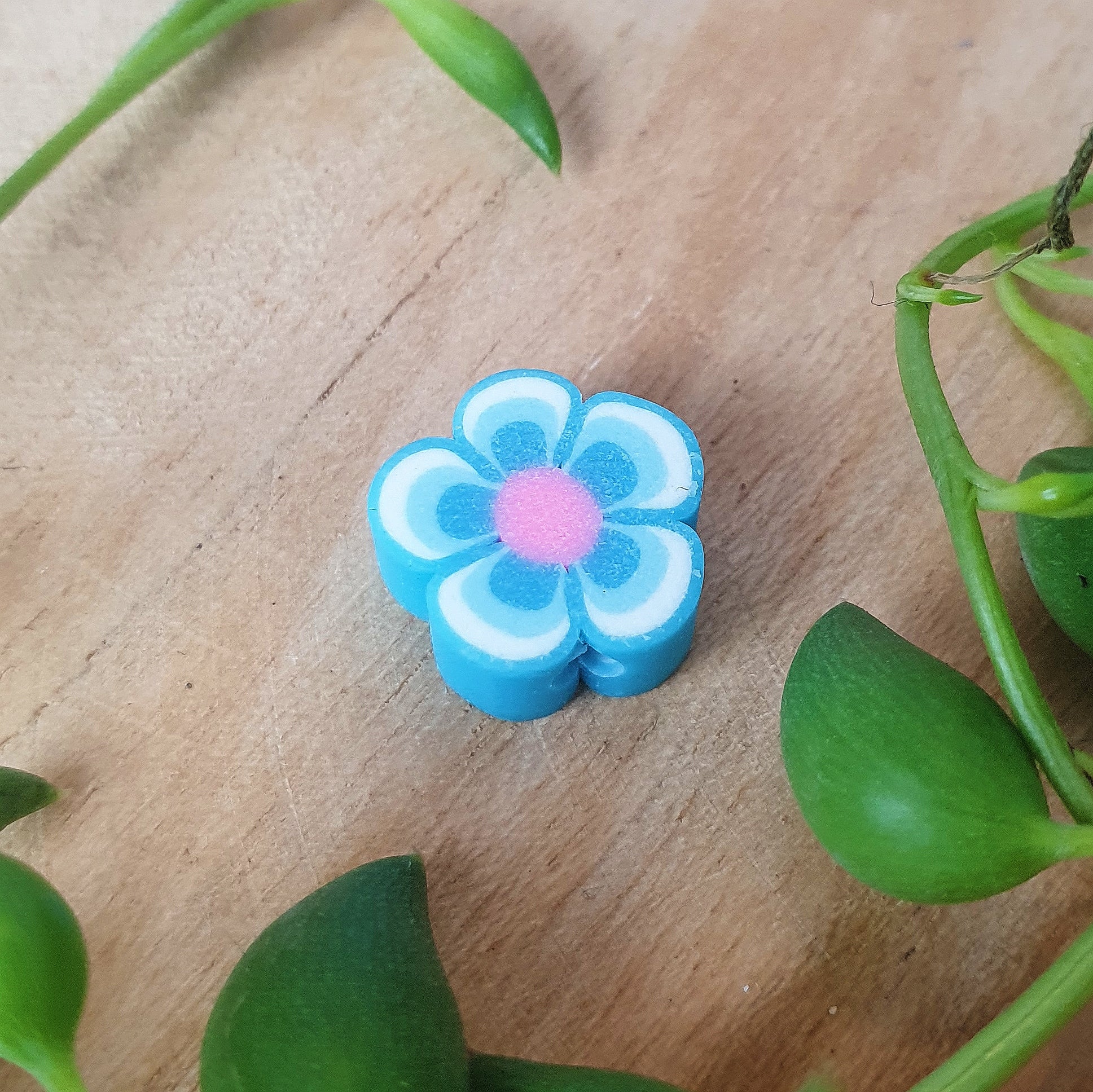 Miniatuur 1
