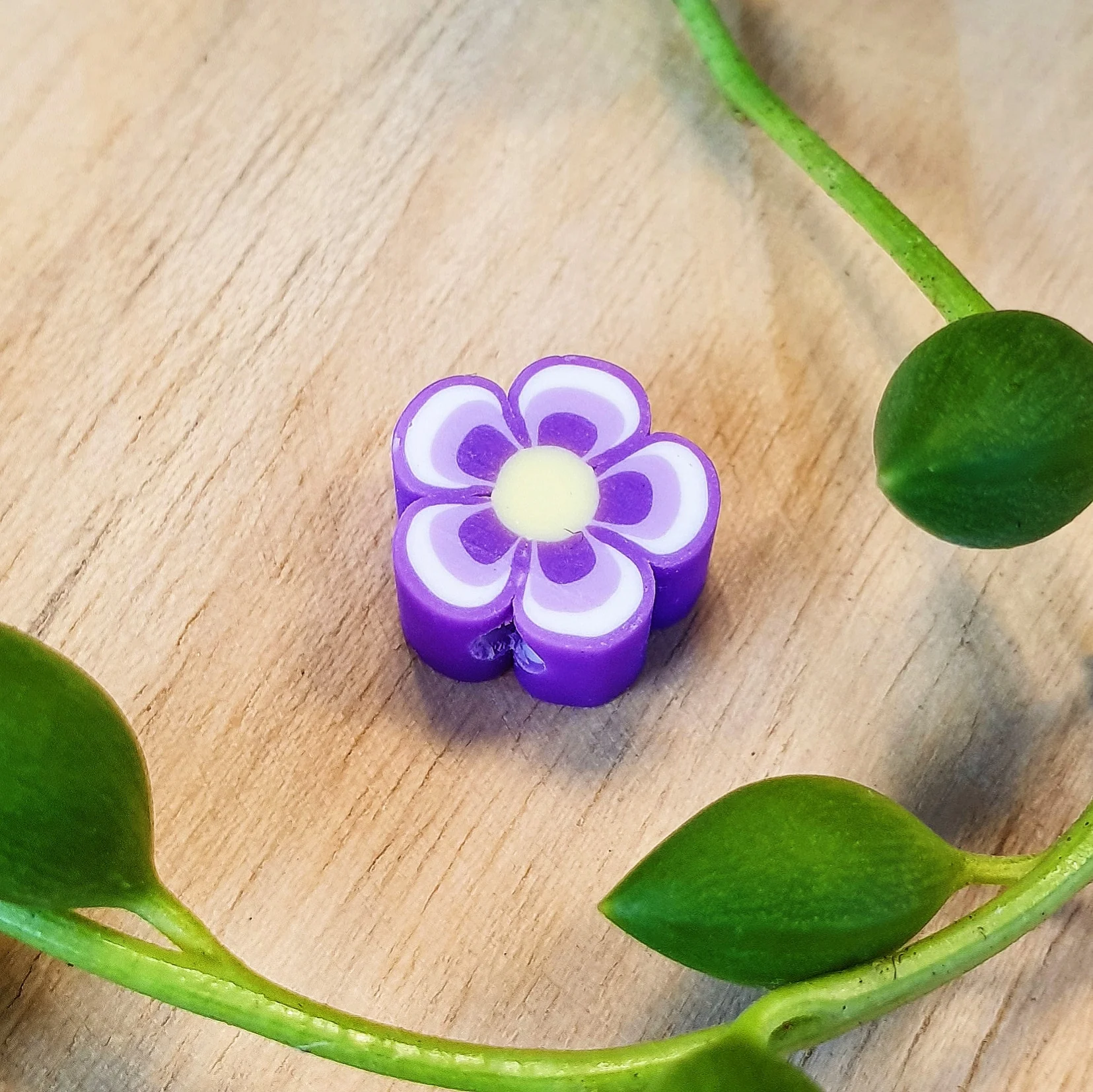 Miniatuur 1