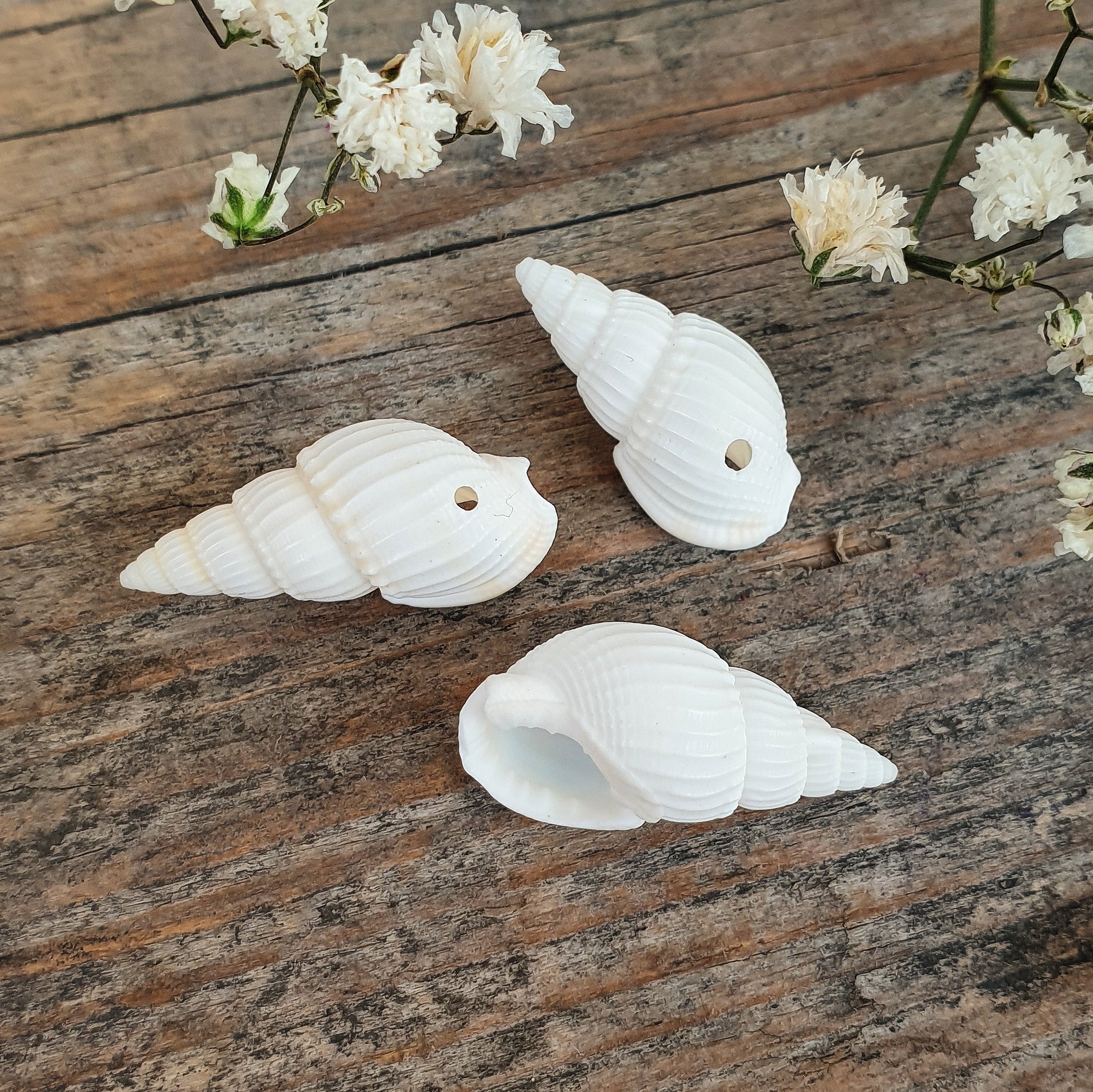 Miniatuur 1
